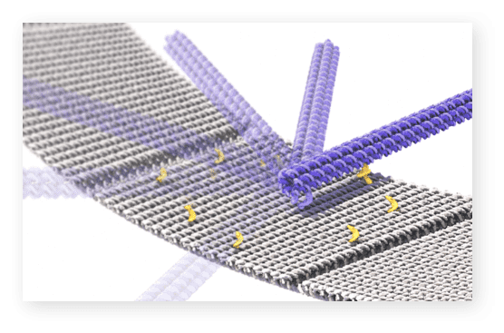 sci illustration image