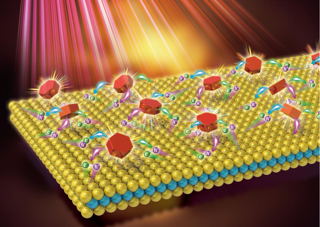 sci illustration image