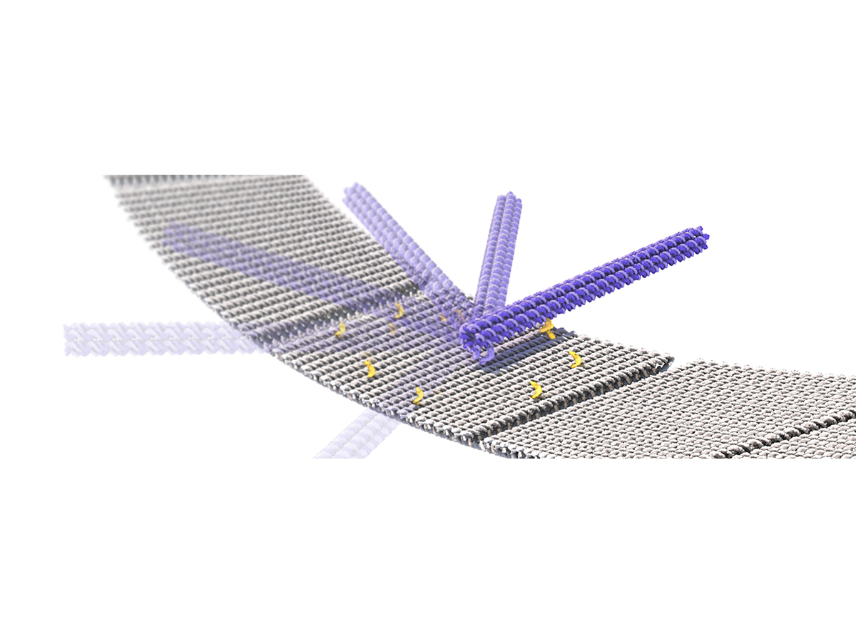 sci illustration image